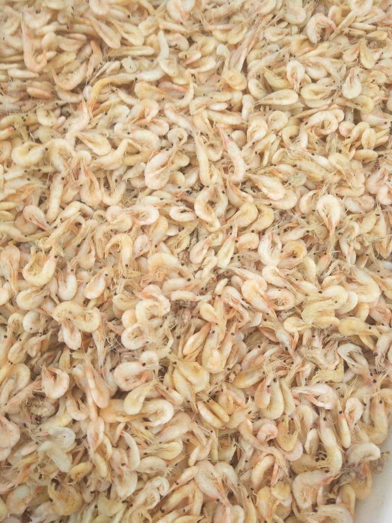 熟冻皮皮虾，
