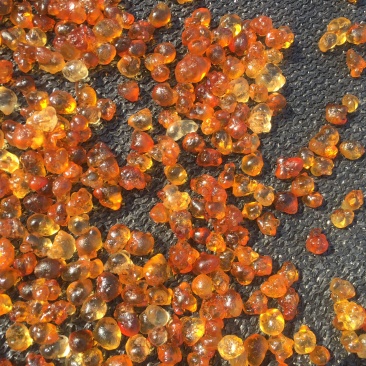 桃胶源头基地工厂机磨水洗纯黄颗粒0.8-1.5，大量现货