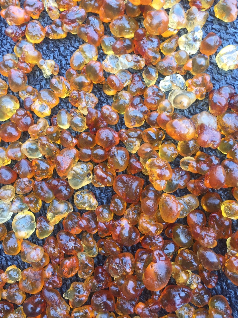 桃胶源头基地工厂机磨水洗纯黄颗粒0.8-1.5，大量现货
