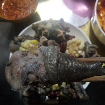 爬树乌鸡走地鸡月子鸡农户五谷杂粮散养贵州黔东南