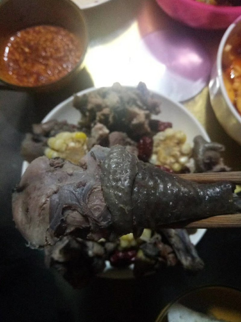 爬树乌鸡走地鸡月子鸡农户五谷杂粮散养贵州黔东南
