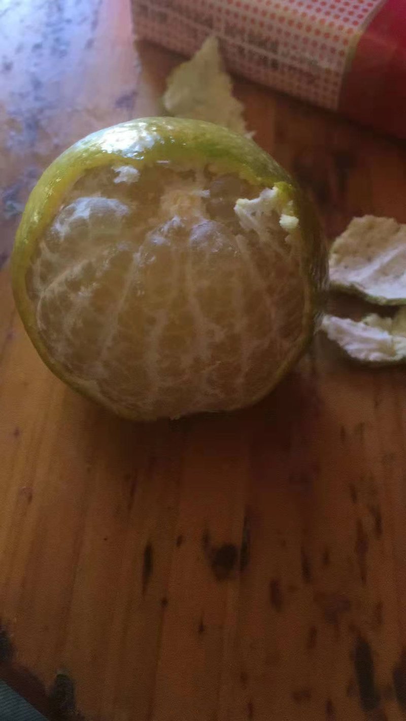 皇帝贡柑