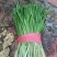 河北韭菜。大棚种植，平台，电商，食品厂。**产品。