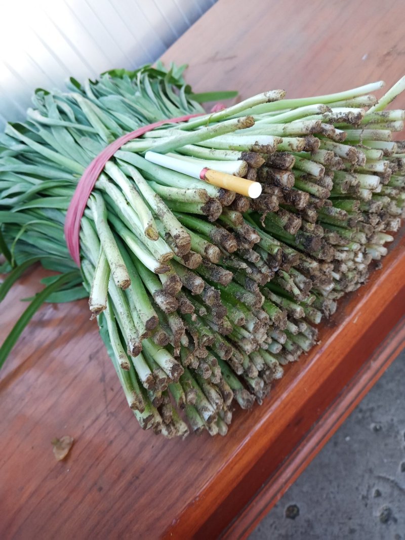 河北韭菜。大棚种植，平台，电商，食品厂。**产品。