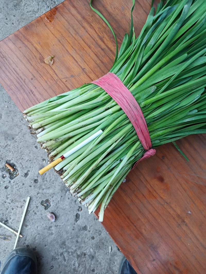 河北韭菜。大棚种植，平台，电商，食品厂。**产品。
