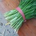 河北韭菜。大棚种植，平台，电商，食品厂。**产品。