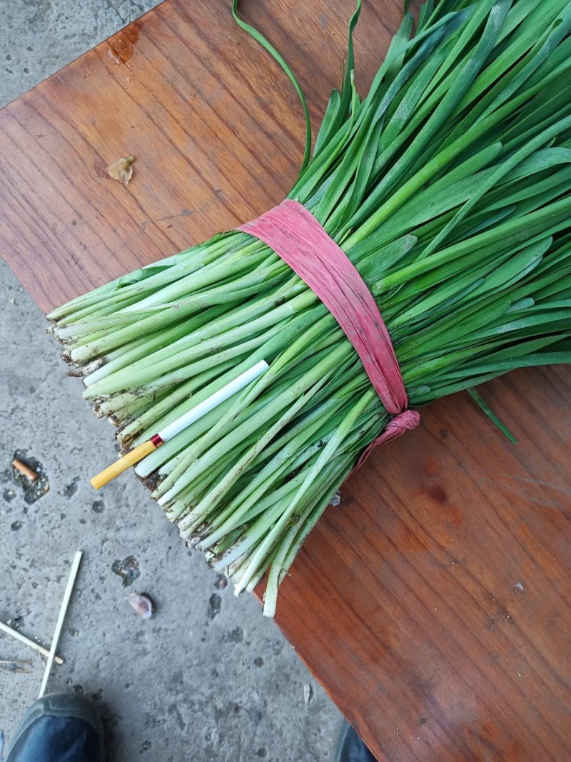 河北韭菜。大棚种植，平台，电商，食品厂。**产品。
