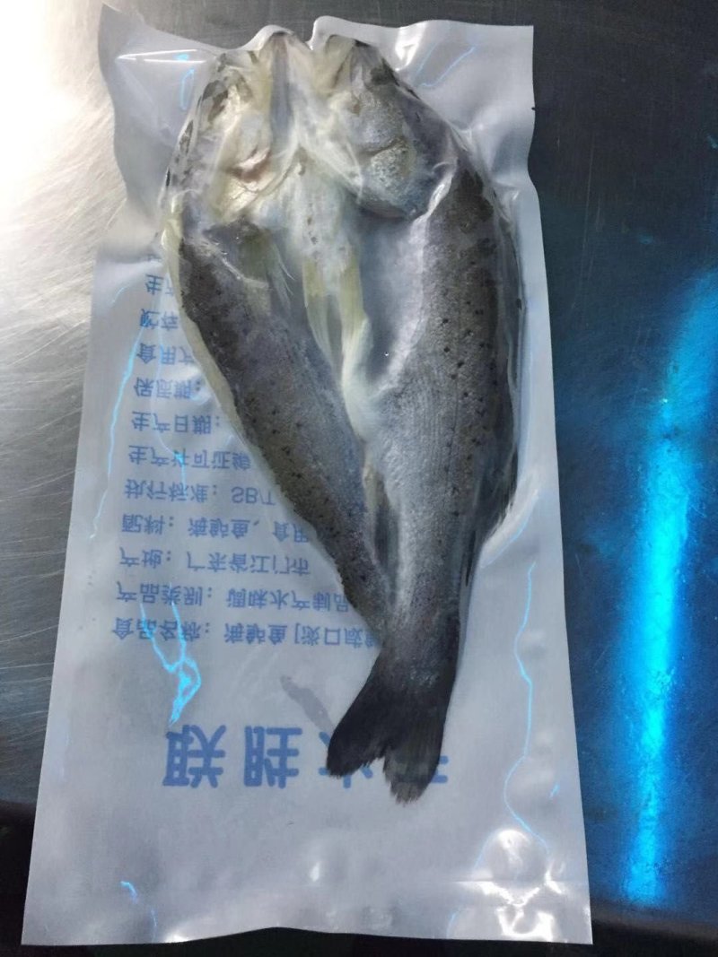 海鲈鱼
