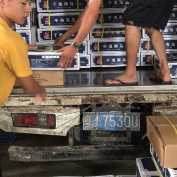 海鲈鱼