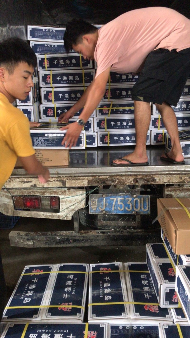 海鲈鱼