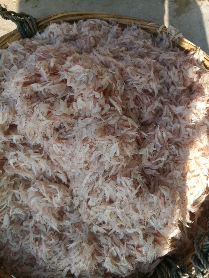 海米，虾米