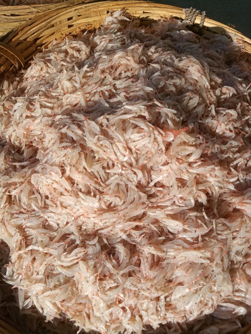 海米，虾米