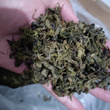 丁香叶子泡茶