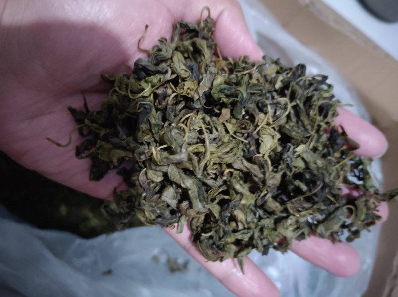 丁香叶子泡茶