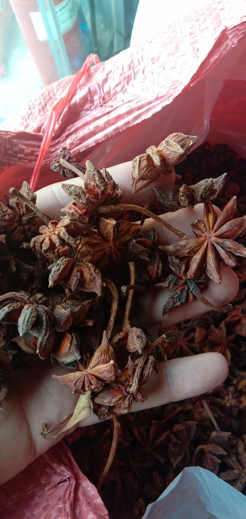 八角麻椒