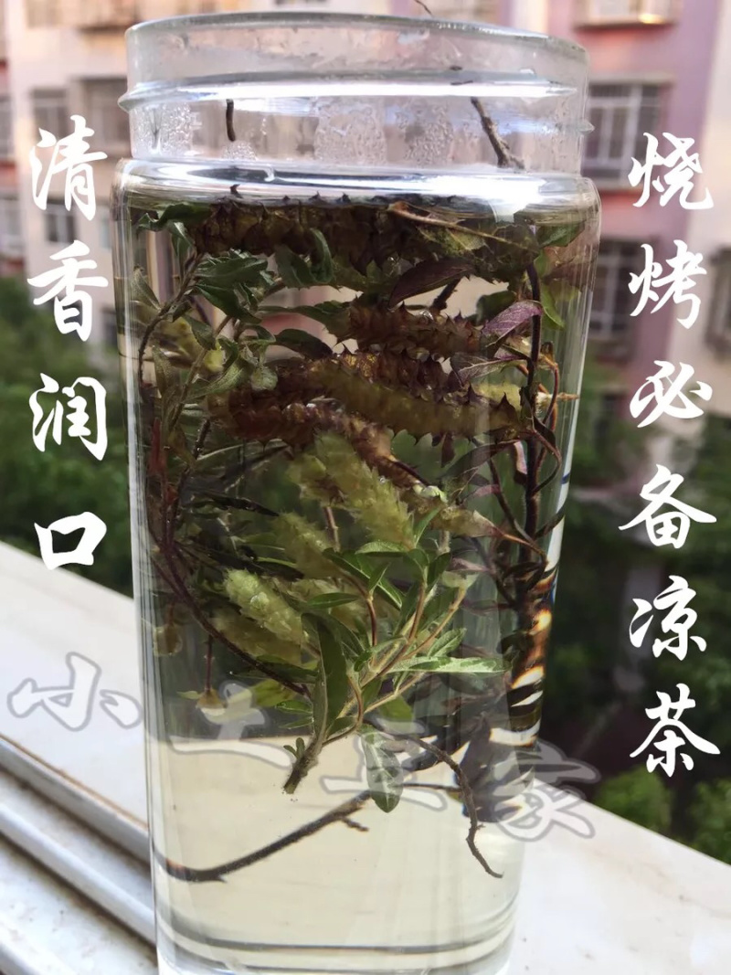 新茶野生花草茶云南特产茶叶野生小山茶东紫苏梭罗茶散称凉茶