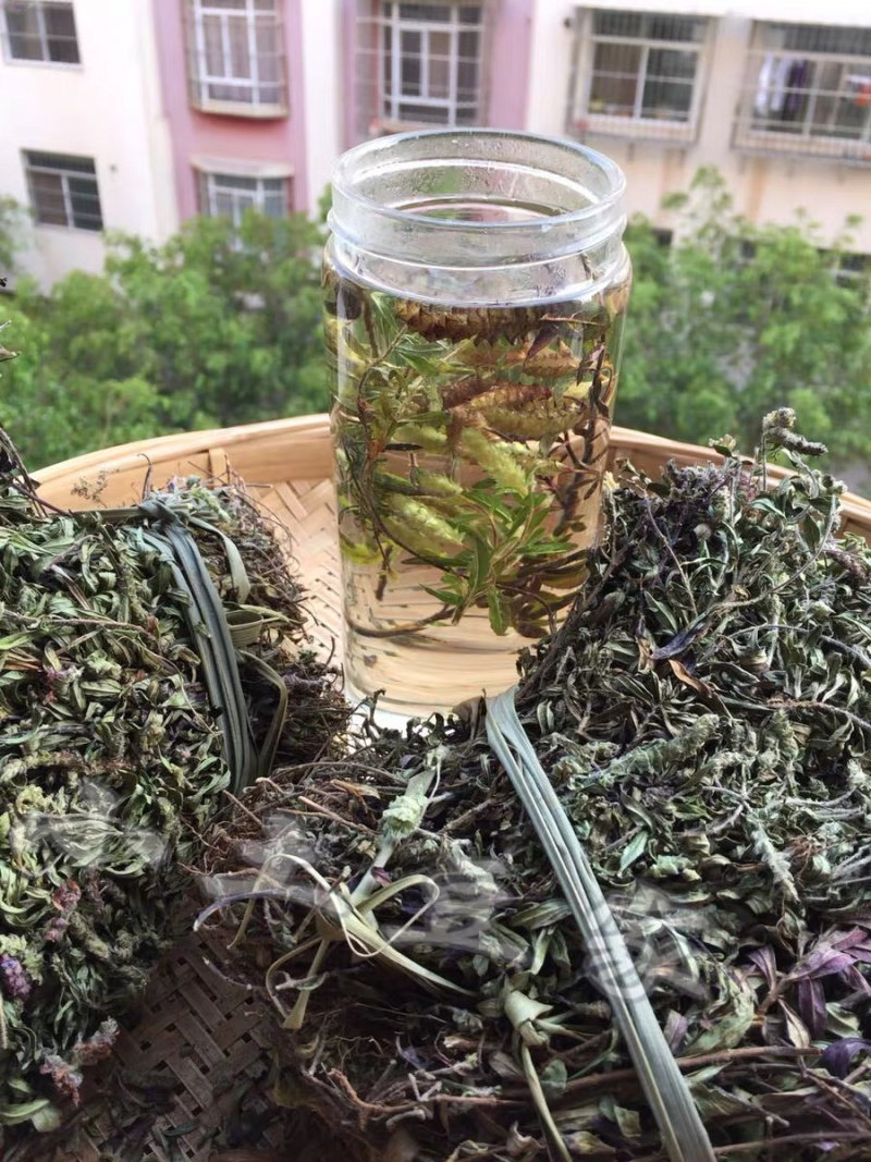 新茶野生花草茶云南特产茶叶野生小山茶东紫苏梭罗茶散称凉茶