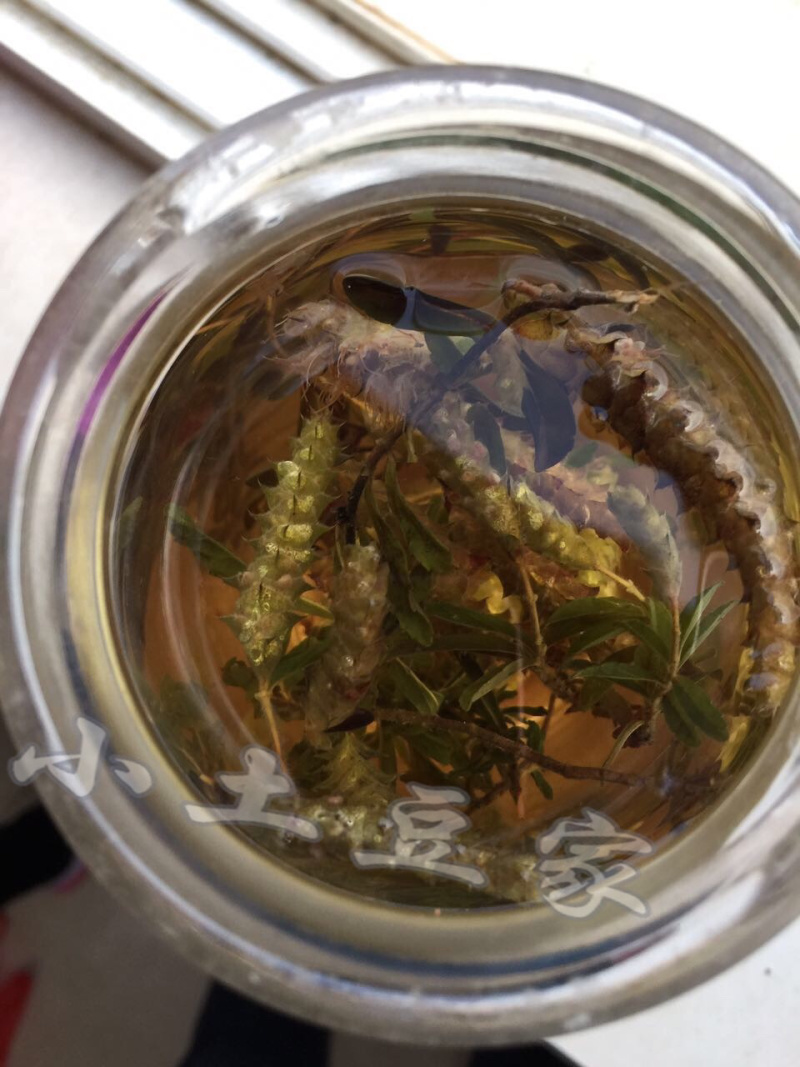 新茶野生花草茶云南特产茶叶野生小山茶东紫苏梭罗茶散称凉茶