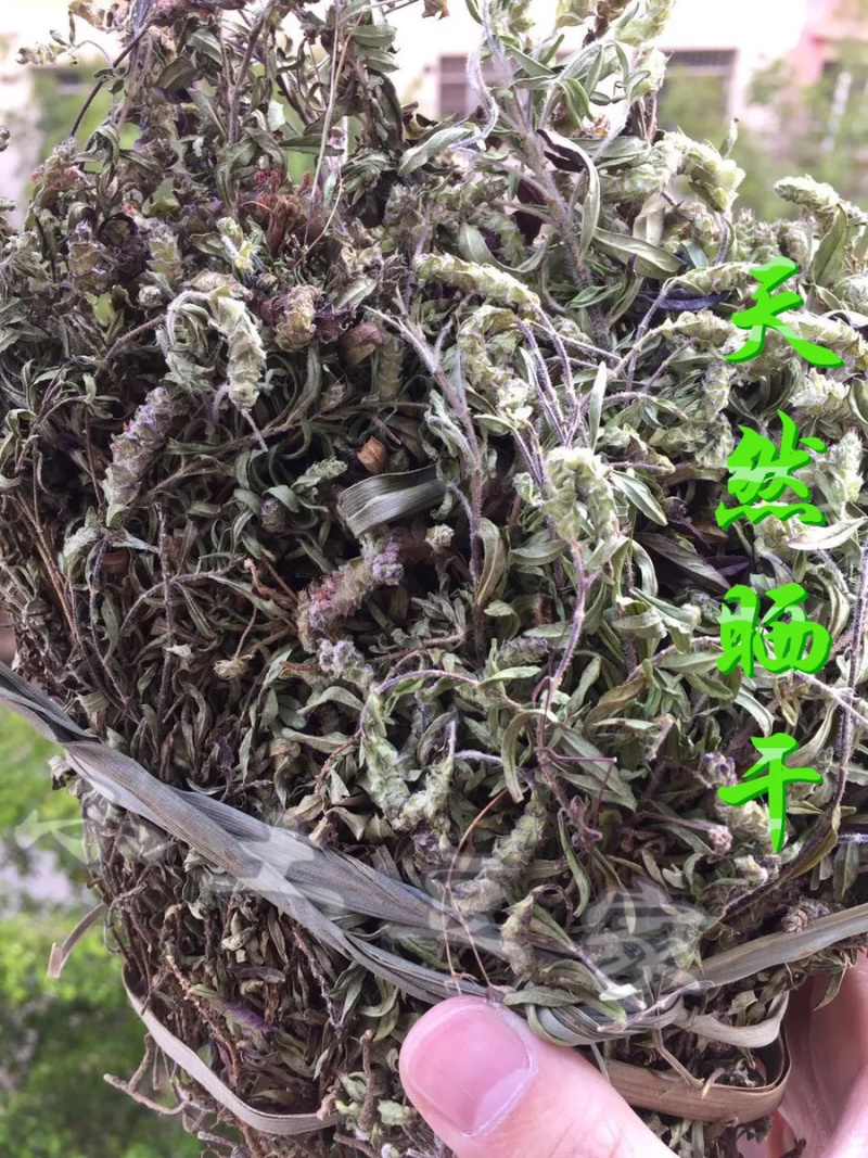 新茶野生花草茶云南特产茶叶野生小山茶东紫苏梭罗茶散称凉茶