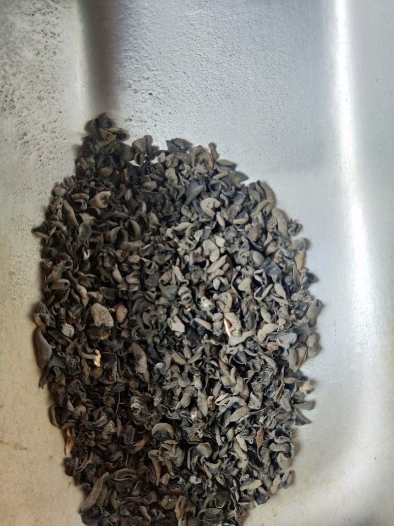木耳