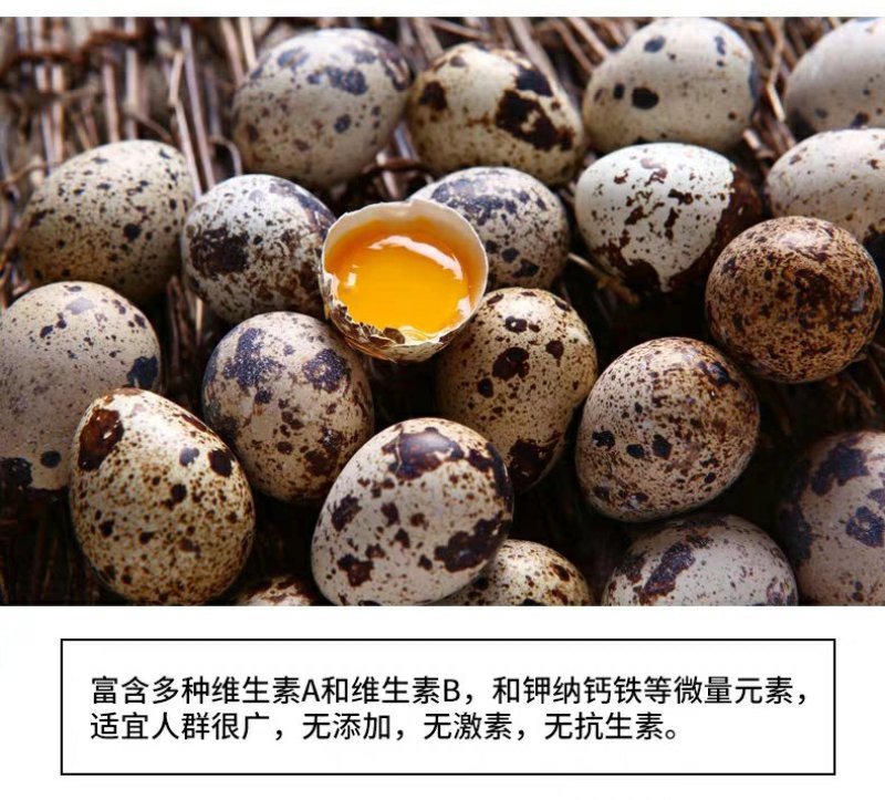 孕妇宝妈孩子补品处子散养鹌鹑蛋俺鹑蛋安纯蛋