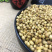香菜籽全干芜荽子国产年新货包邮香辛料食品级全干无添加