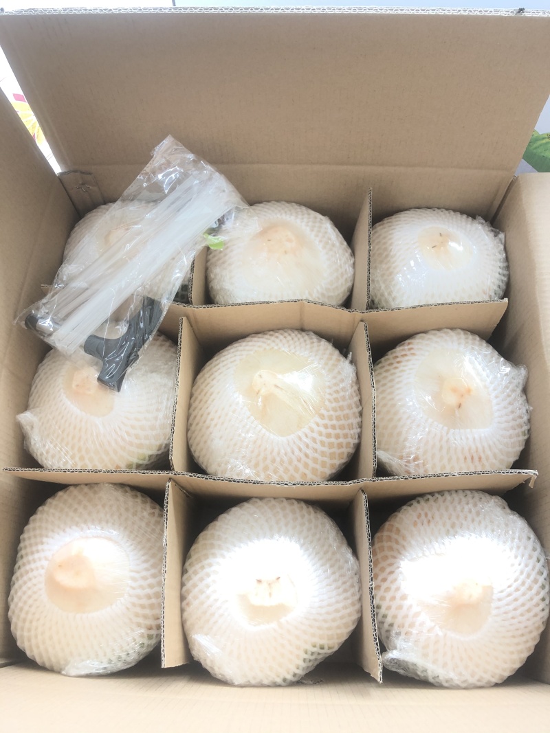 精品厂家直销海南椰子椰青9个装一件代发孕妇小孩适用