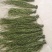 贡菜标准二级(不加水)