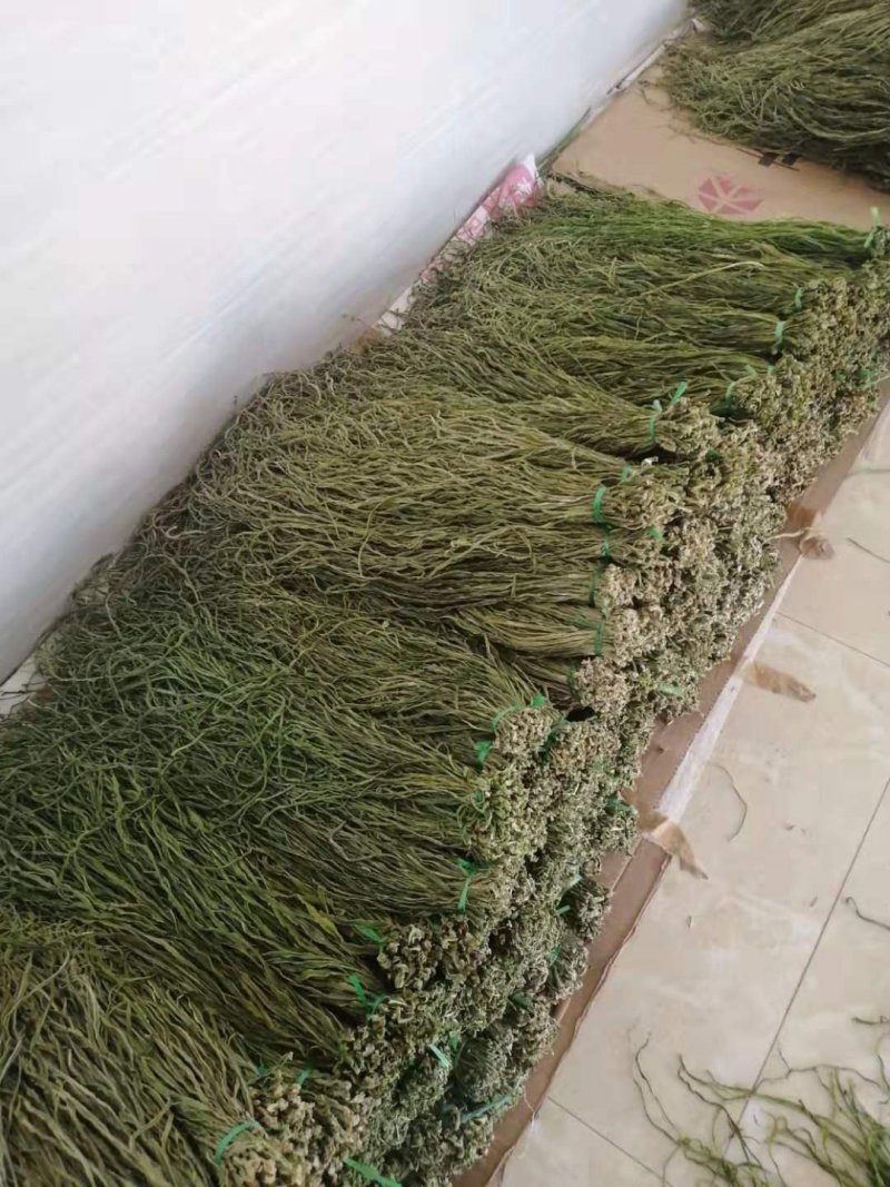 贡菜标准二级(不加水)