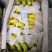越南蕉，进口蕉，青蕉，熟蕉，水蕉，