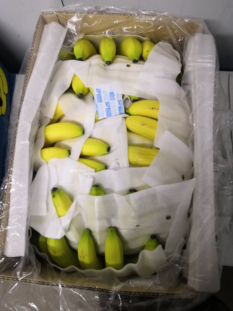 越南蕉，进口蕉，青蕉，熟蕉，水蕉，