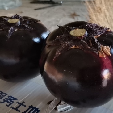 茄子