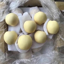 河北皇冠梨，一手货源规格齐全品质保障对接商超批发