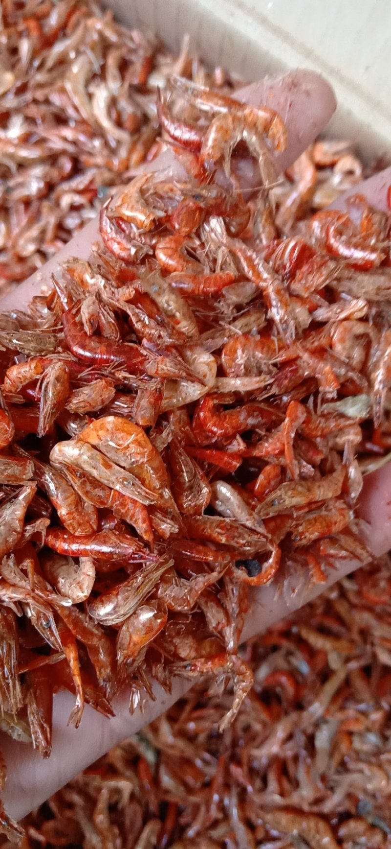 虾干小红虾，干度好，颜色红