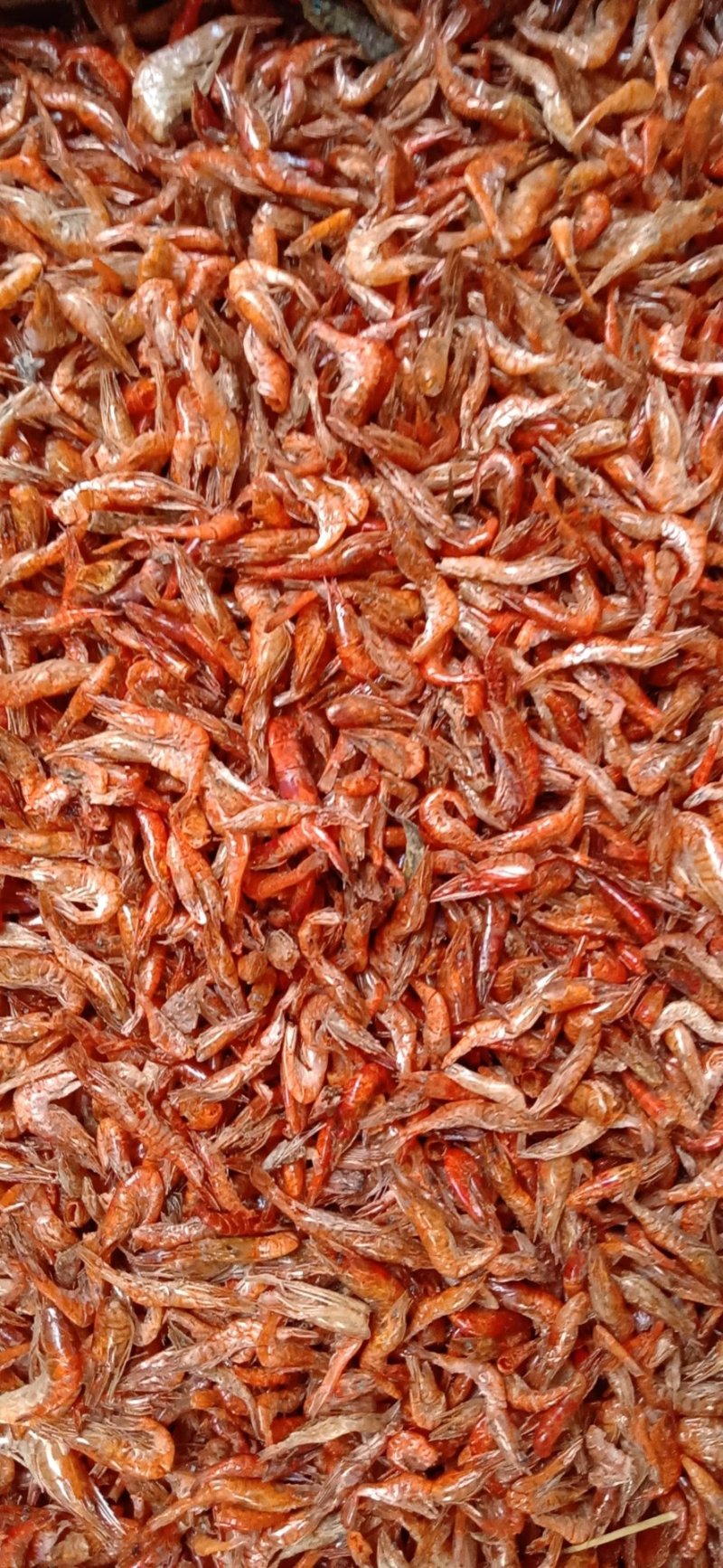 虾干小红虾，干度好，颜色红