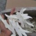 河南山药片干河南怀山片干全国发货批发零售