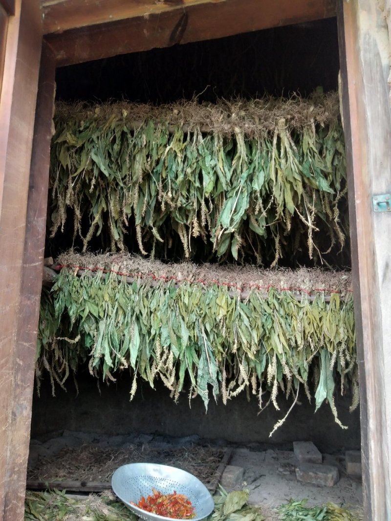 田友们希望要水洗烤干见血清和鸡头薯鲜货干货长年都有