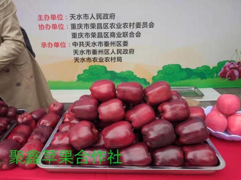 天水花牛，重庆展销会，花牛苹果，现在在冷库