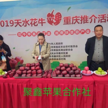 天水花牛，重庆展销会，花牛苹果，现在在冷库