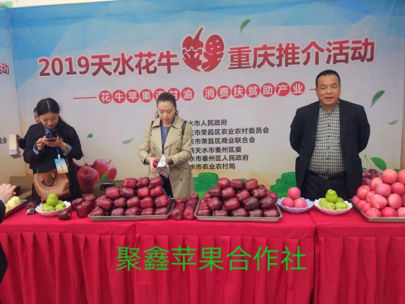 天水花牛，重庆展销会，花牛苹果，现在在冷库