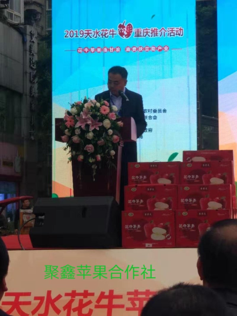 天水花牛，重庆展销会，花牛苹果，现在在冷库