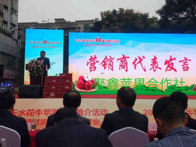 天水花牛，重庆展销会，花牛苹果，现在在冷库