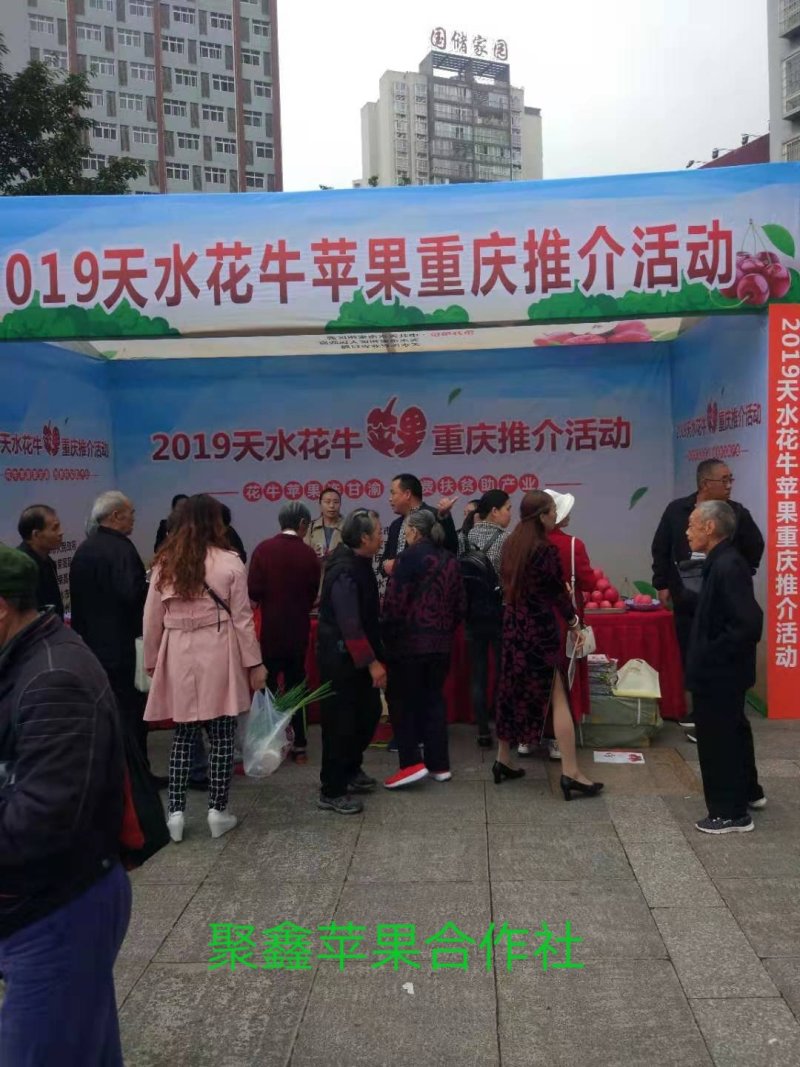 天水花牛，重庆展销会，花牛苹果，现在在冷库