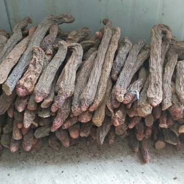 【有好货】内蒙金锁阳冬季锁阳500克质量保证