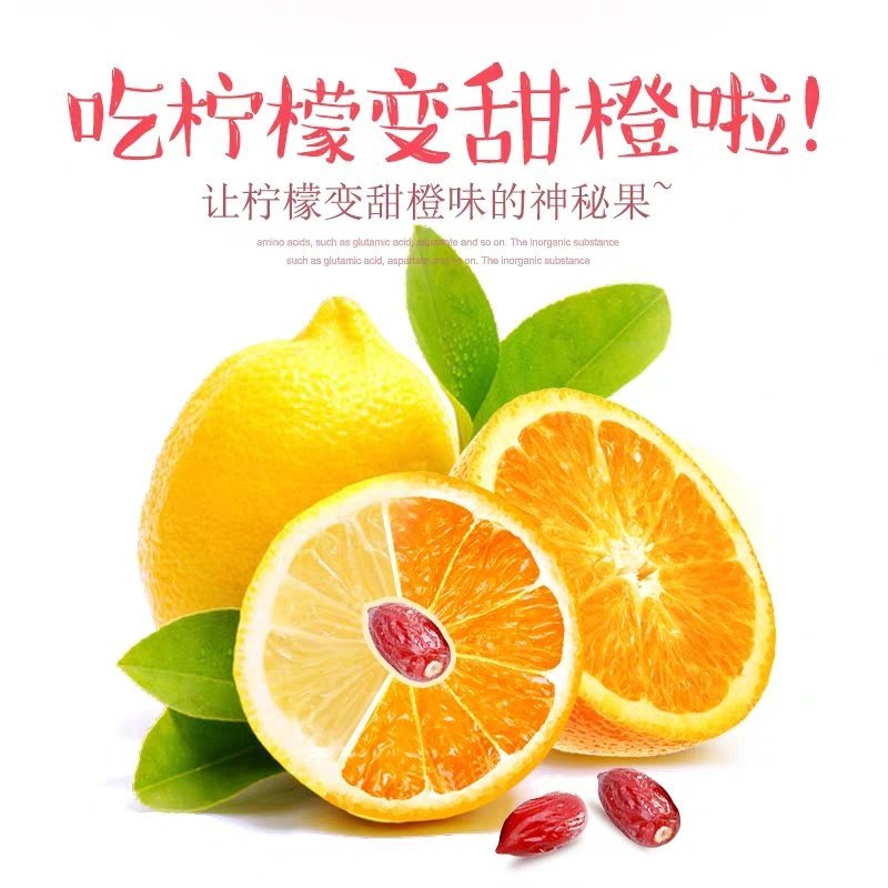 神秘果