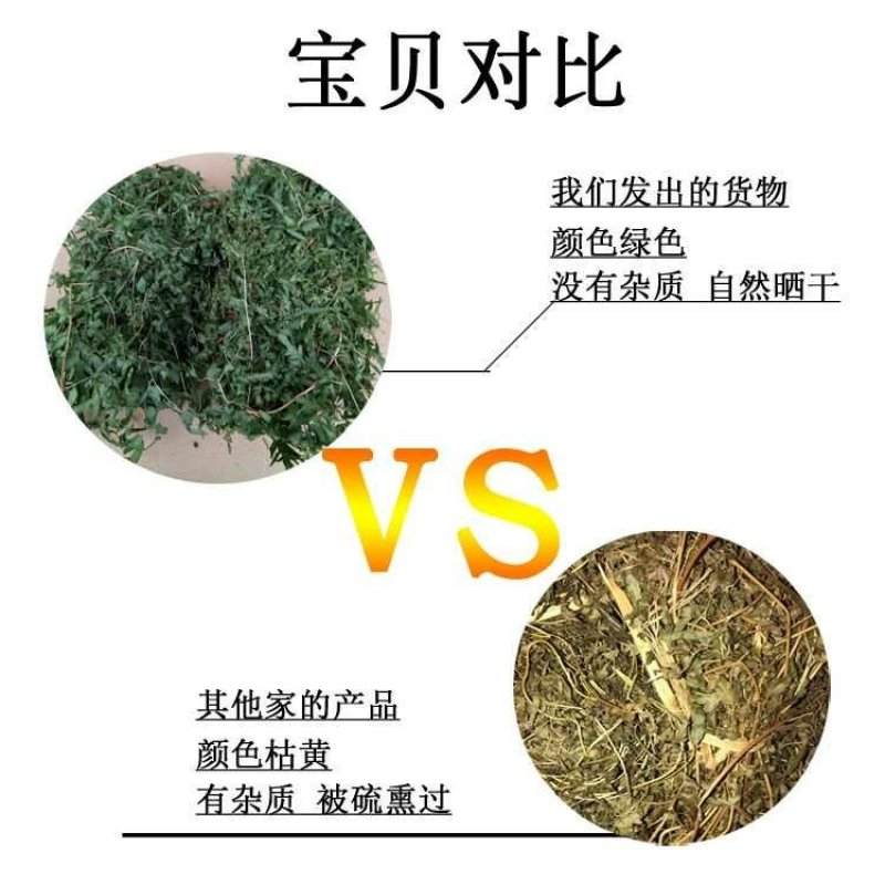 野生海金沙藤草500g包邮化结石茶左转藤荽珍冬毛铁线藤