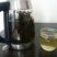 野生海金沙藤草500g包邮化结石茶左转藤荽珍冬毛铁线藤