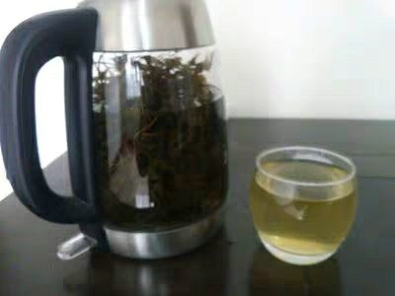 野生海金沙藤草500g包邮化结石茶左转藤荽珍冬毛铁线藤