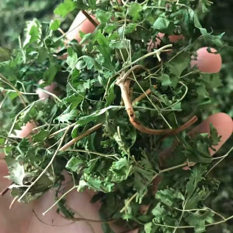 野生海金沙藤草500g包邮化结石茶左转藤荽珍冬毛铁线藤