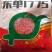 玉米种2017年国审品种秋乐368